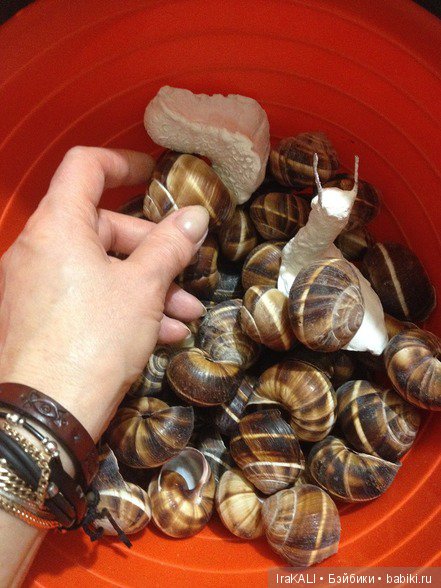 авторские куклы, куклы своими руками, ручная работа, куклы в подарок, куклы IraKALI авторские куклы, куклы своими руками, ручная работа, куклы в подарок, куклы IraKALI