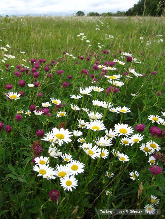 Русская антикварная кукла фабрики Дунаева или просто Дуняшка (фото 5)