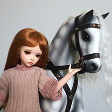 Я люблю свою лошадку