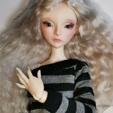 Lillycat lilas Lillycat lilas