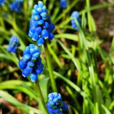 Весна... Самое нежное время года!