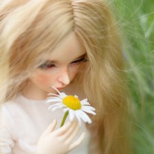 Мои любимки и васельки