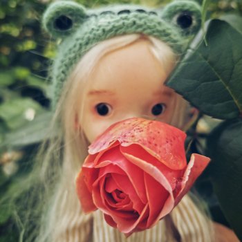 Вместо слов...