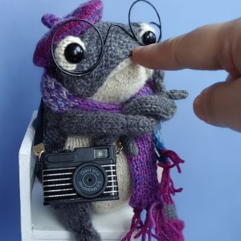 Жабка-фотограф