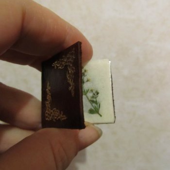 Книг много не бывает.