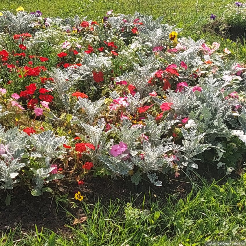 Кусково — Культура