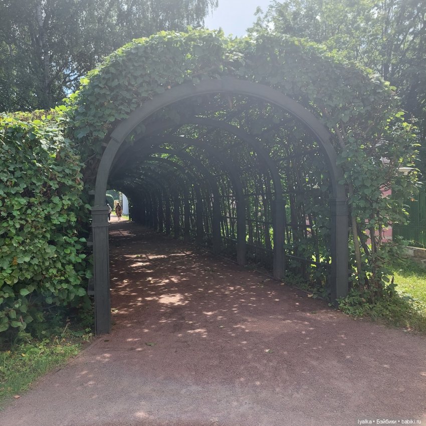 Кусково — Культура