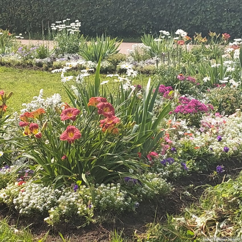 Кусково — Культура