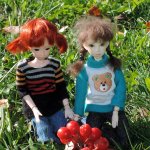 Рябиновый день