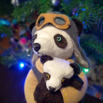 Сеня и Веня