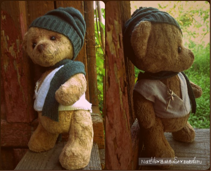 Зачем светят звезды. Мишка тедди (фото 9)