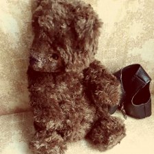 Забытый плюшевый медведь