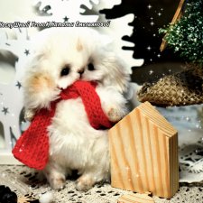 Зайка тедди