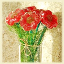 Зимние, сладкие цветы