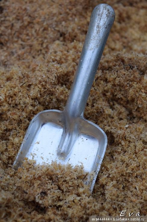 Про дачу, старые вещи, игрушки и Мону Лизу