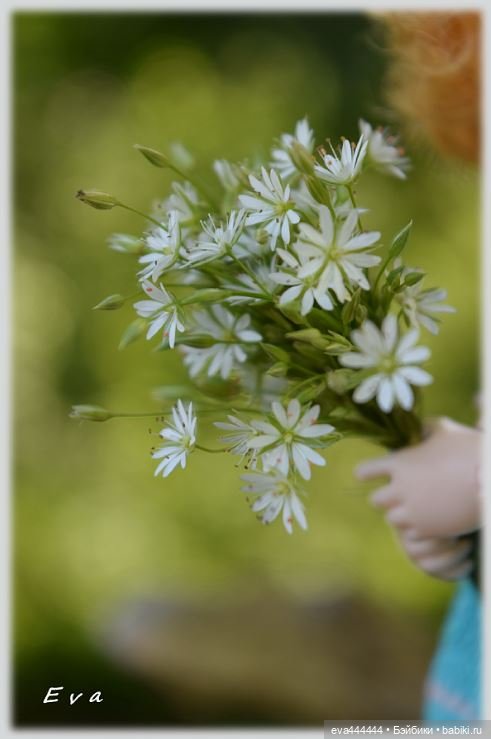 Сад, лес и Баболи (маленькая сказка)