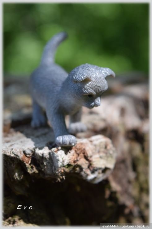 Сад, лес и Баболи (маленькая сказка)