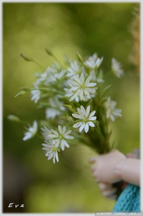 Сад, лес и Баболи (маленькая сказка)