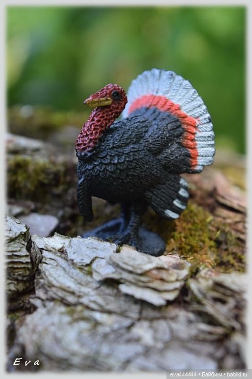 Сад, лес и Баболи (маленькая сказка)