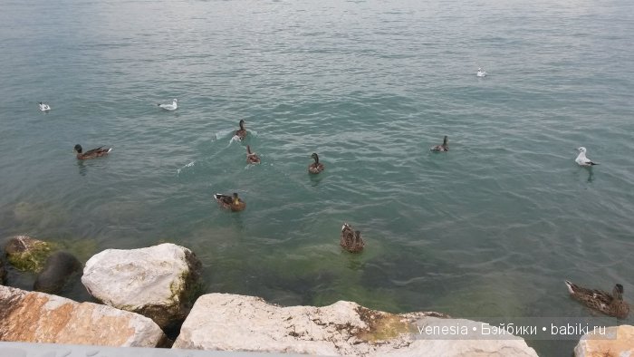 Озеро Гарда (Италия) — Туризм и путешествия: фотоотчеты из поездок (фото 3)