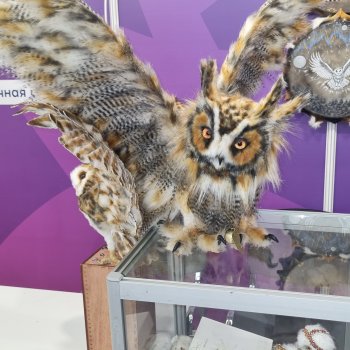 Выставка "Ладья". Продолжение