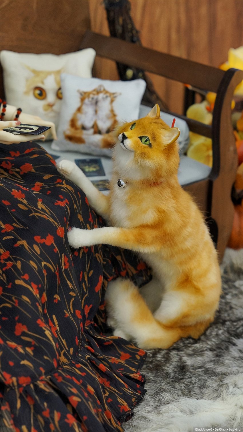 Осенние мифы 2024 — Фотоистории с куклами BJD (БЖД): сериалы (фото 5)