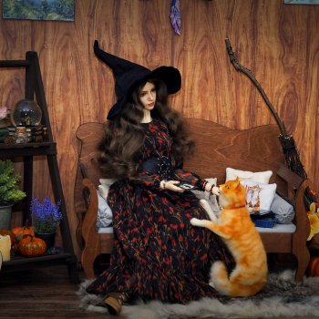 Осенние мифы 2024