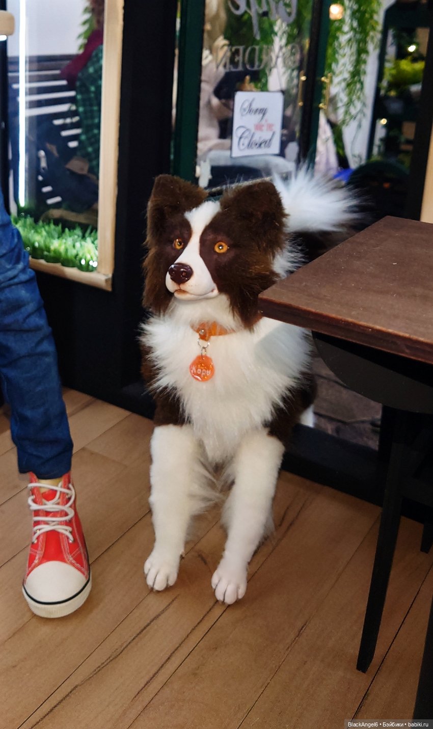 Dollscar 2025 — Фотоистории с куклами BJD (БЖД): сериалы