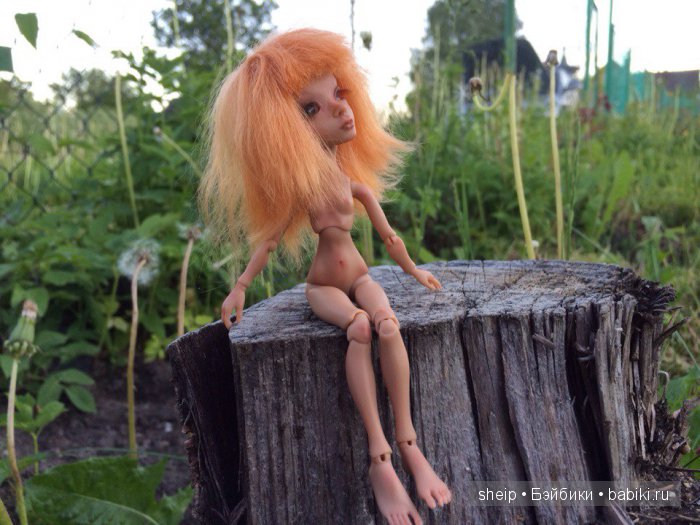 Давайте знакомиться! Еще одна Амигата Кватра от Тимура Зелеева (фото 3)