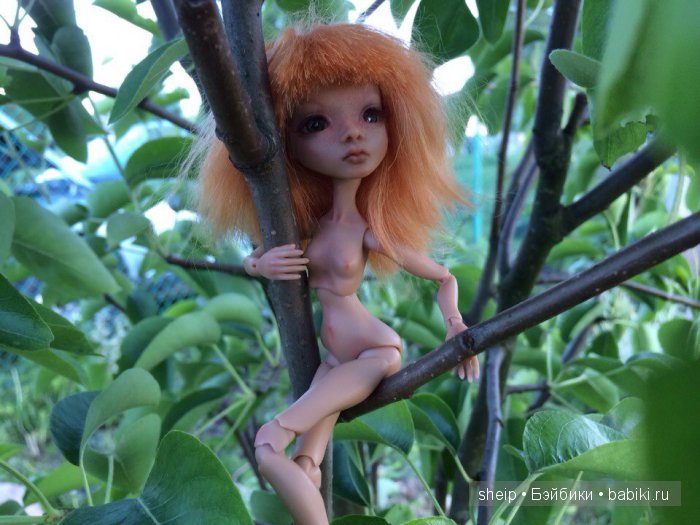 Давайте знакомиться! Еще одна Амигата Кватра от Тимура Зелеева (фото 4)