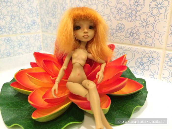 Давайте знакомиться! Еще одна Амигата Кватра от Тимура Зелеева (фото 2)