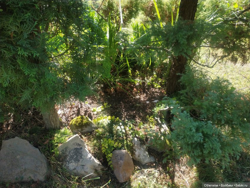 Лесная история - начало — Аксессуары для кукол своими руками: идеи