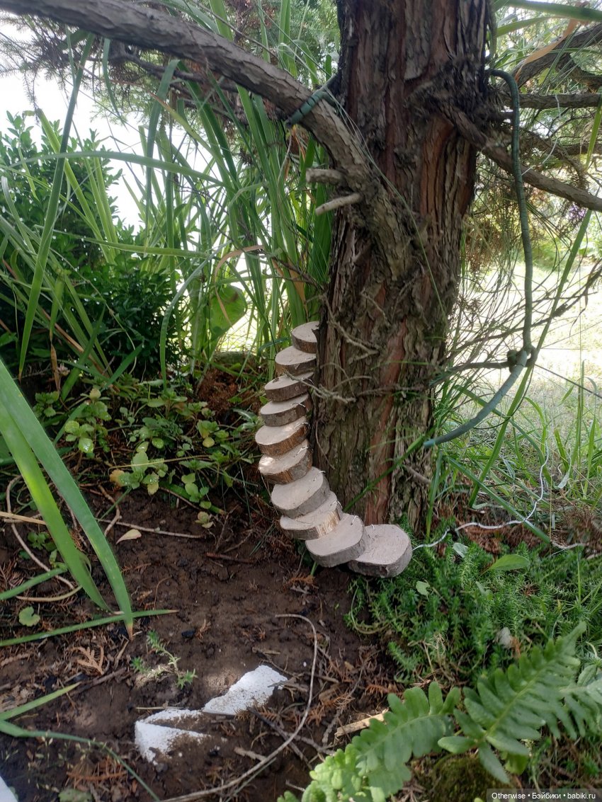 Лесная история - начало — Аксессуары для кукол своими руками: идеи (фото 7)