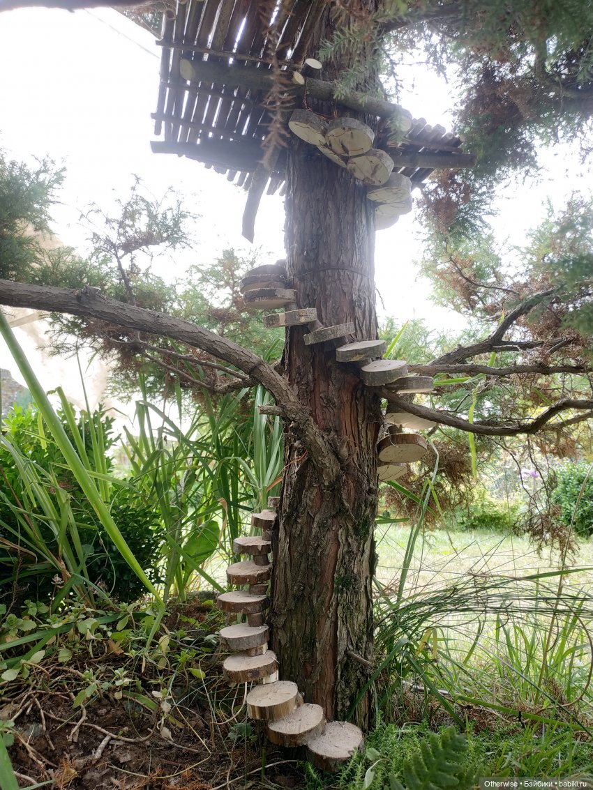 Продолжение лесной истории и плюшевой стройки (фото 5)