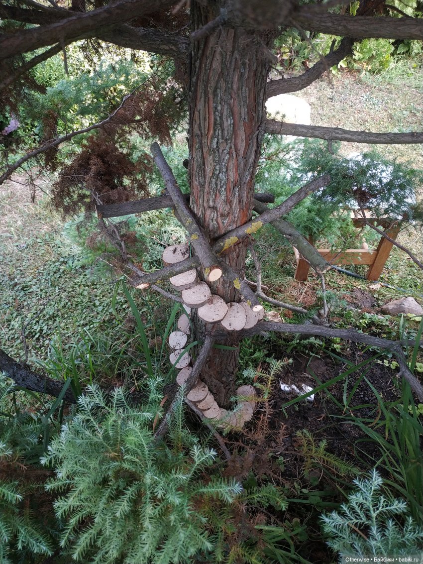 Продолжение лесной истории и плюшевой стройки