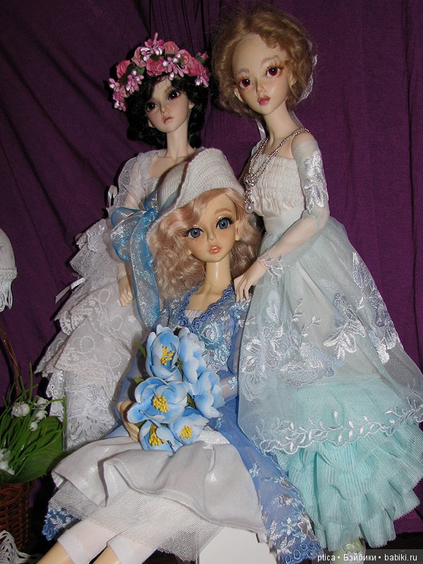 Семейство красотулек растёт (фото 6)