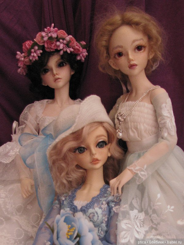 Семейство красотулек растёт (фото 5)