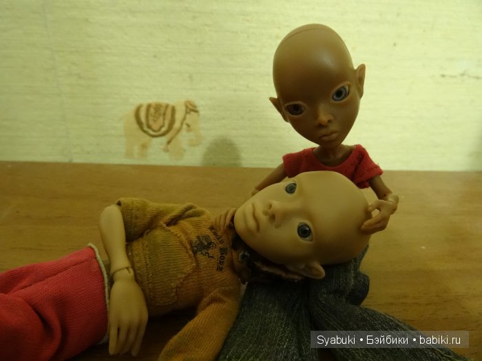 АмиГаТы - покорители сердец