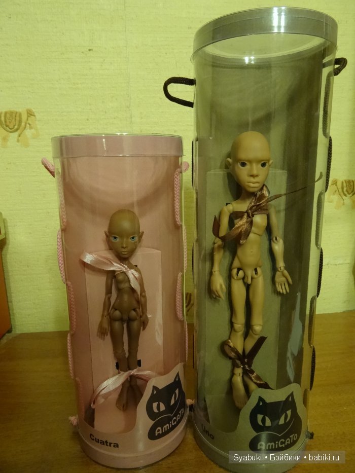 Nothing Sapiens AmiGaTa Cuatra,AmiGaTo Uno