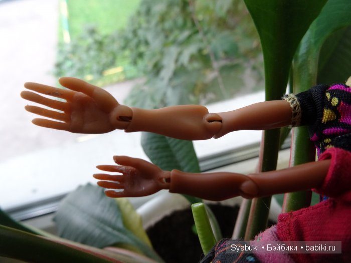 Ладони АмиГаТ