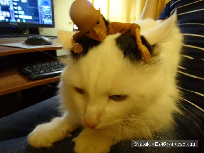 Нагато Гвахаламеи и Росинант Бродинович Дёмин