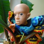 Первая история