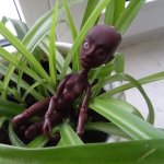 Ньяла два года назад. AmiGaTa Una