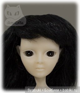 AmiGaTa Quinta от Nothing Sapiens