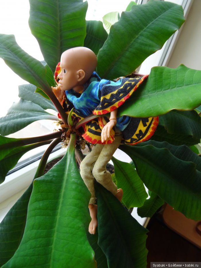 Первая история — Куклы AmiGaTa (АмиГаТа): авторские BJD (БЖД) (фото 10)