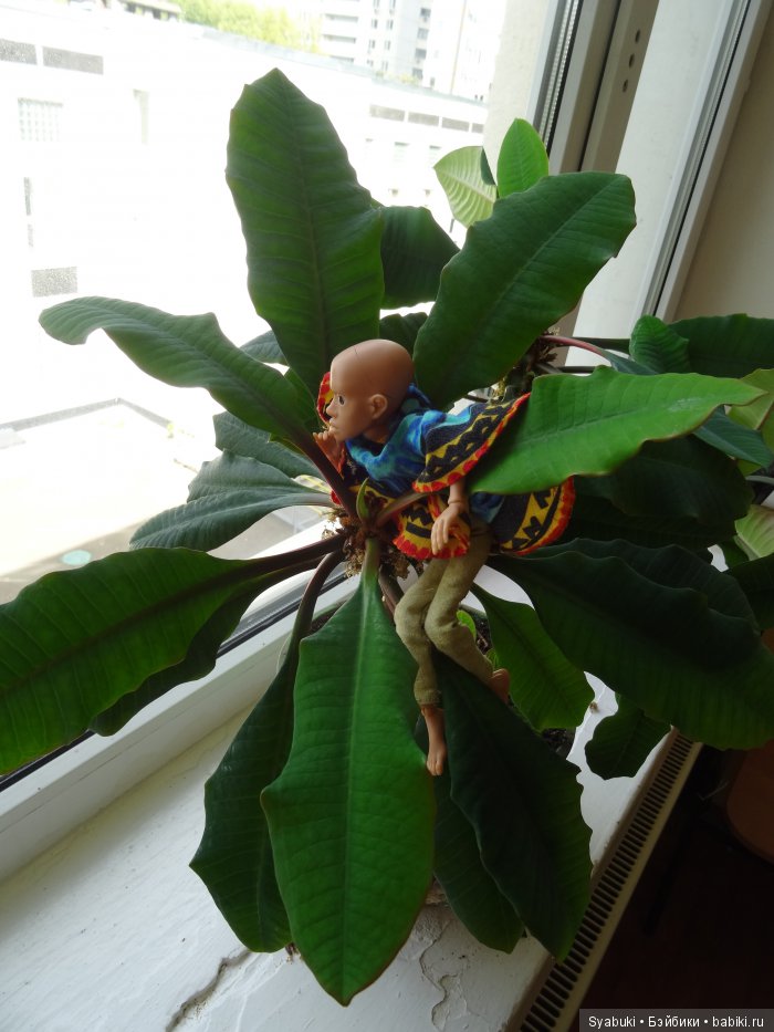 Первая история — Куклы AmiGaTa (АмиГаТа): авторские BJD (БЖД) (фото 9)