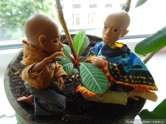 Первая история — Куклы AmiGaTa (АмиГаТа): авторские BJD (БЖД)