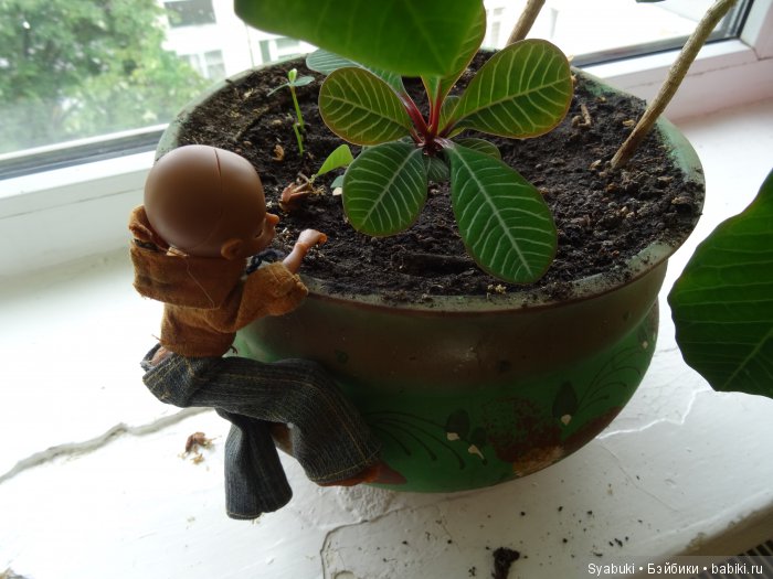 Первая история — Куклы AmiGaTa (АмиГаТа): авторские BJD (БЖД)