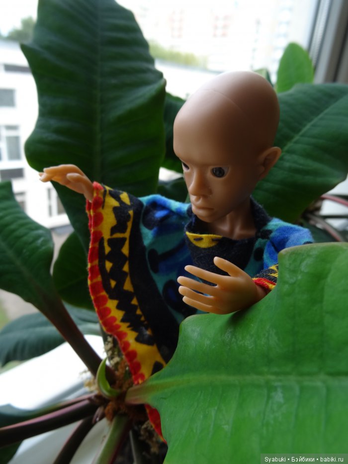 Первая история — Куклы AmiGaTa (АмиГаТа): авторские BJD (БЖД)