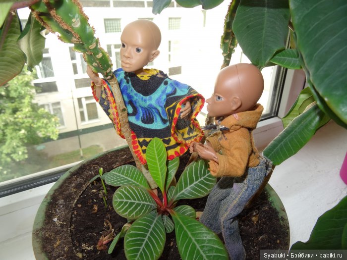 Первая история — Куклы AmiGaTa (АмиГаТа): авторские BJD (БЖД)